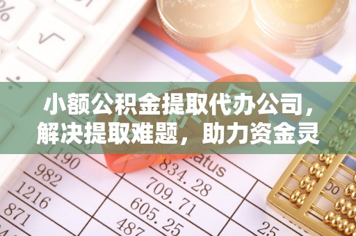 洛宁小额公积金提取代办公司，解决提取难题，助力资金灵活使用