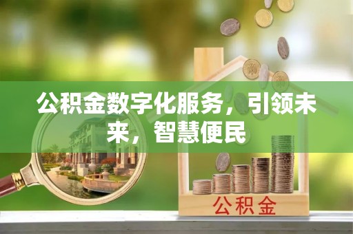 洛宁公积金数字化服务，引领未来，智慧便民