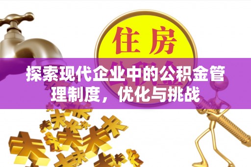 洛宁探索现代企业中的公积金管理制度，优化与挑战
