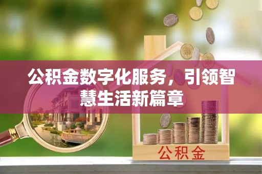 洛宁公积金数字化服务，引领智慧生活新篇章