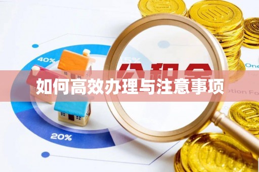 洛宁如何高效办理与注意事项