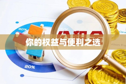 洛宁你的权益与便利之选