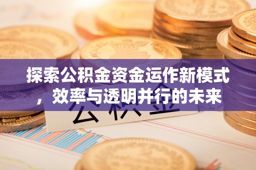 洛宁探索公积金资金运作新模式，效率与透明并行的未来