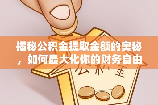 洛宁揭秘公积金提取金额的奥秘，如何最大化你的财务自由