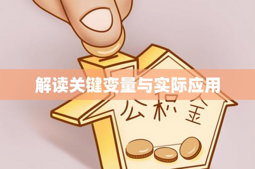 洛宁解读关键变量与实际应用