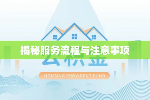 洛宁揭秘服务流程与注意事项