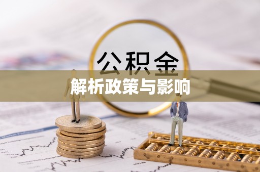 洛宁解析政策与影响
