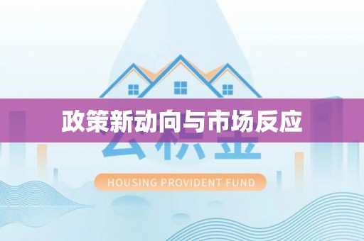 洛宁政策新动向与市场反应