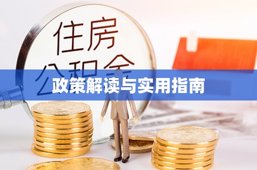 洛宁政策解读与实用指南