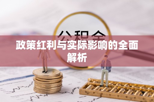 洛宁政策红利与实际影响的全面解析