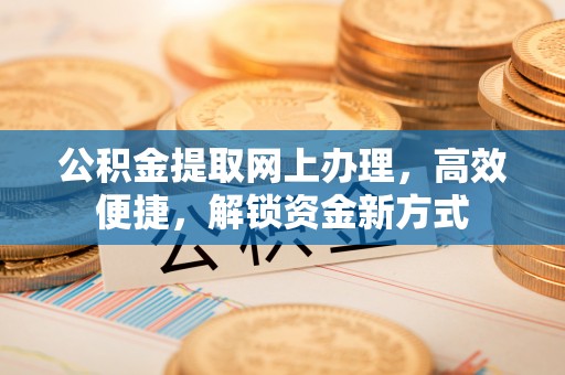 洛宁公积金提取网上办理，高效便捷，解锁资金新方式