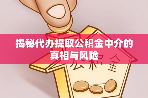 洛宁揭秘代办提取公积金中介的真相与风险