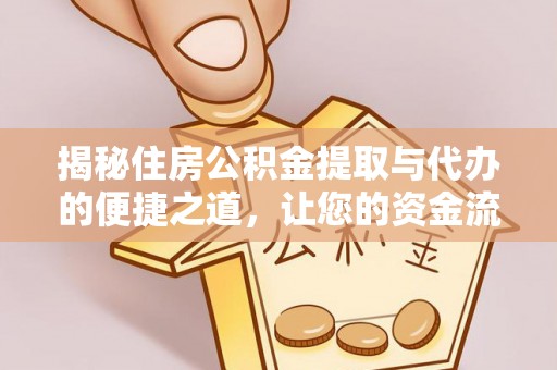 洛宁揭秘住房公积金提取与代办的便捷之道，让您的资金流动更高效