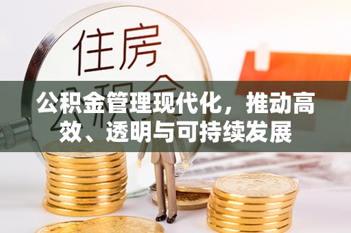 洛宁公积金管理现代化，推动高效、透明与可持续发展