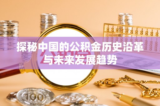 洛宁探秘中国的公积金历史沿革与未来发展趋势