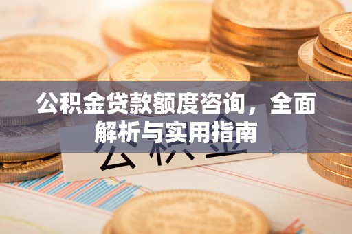 洛宁公积金贷款额度咨询，全面解析与实用指南