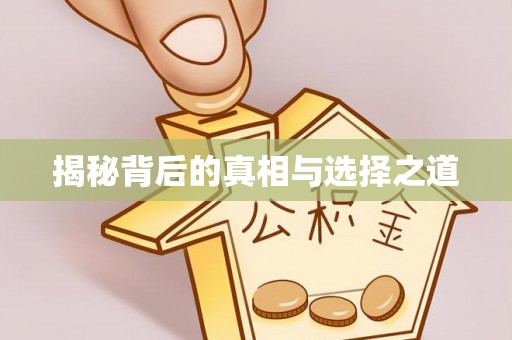 洛宁揭秘背后的真相与选择之道