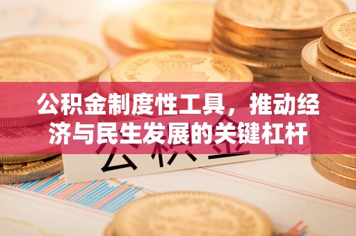 洛宁公积金制度性工具，推动经济与民生发展的关键杠杆
