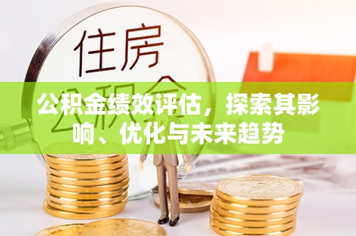 洛宁公积金绩效评估，探索其影响、优化与未来趋势