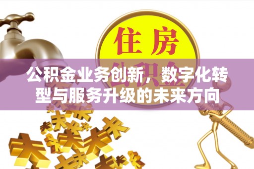 洛宁公积金业务创新，数字化转型与服务升级的未来方向