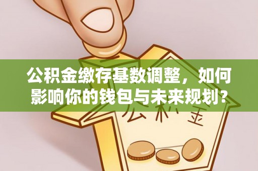 洛宁公积金缴存基数调整，如何影响你的钱包与未来规划？