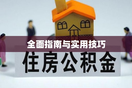 洛宁全面指南与实用技巧