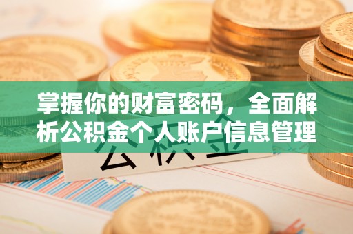 洛宁掌握你的财富密码，全面解析公积金个人账户信息管理与优化
