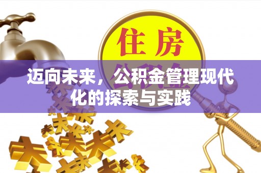 洛宁迈向未来，公积金管理现代化的探索与实践
