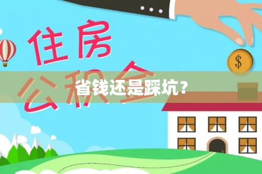 洛宁省钱还是踩坑？