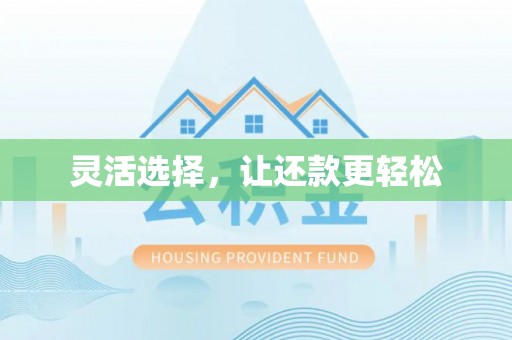 洛宁灵活选择，让还款更轻松