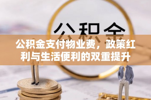 洛宁公积金支付物业费，政策红利与生活便利的双重提升