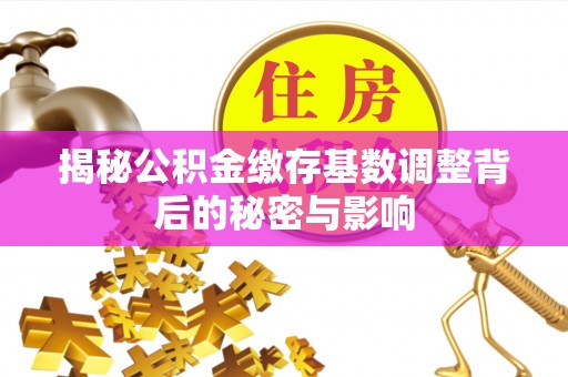 洛宁揭秘公积金缴存基数调整背后的秘密与影响