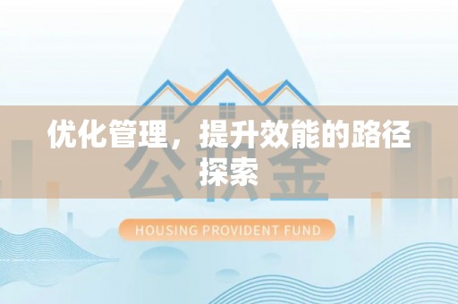 洛宁优化管理，提升效能的路径探索