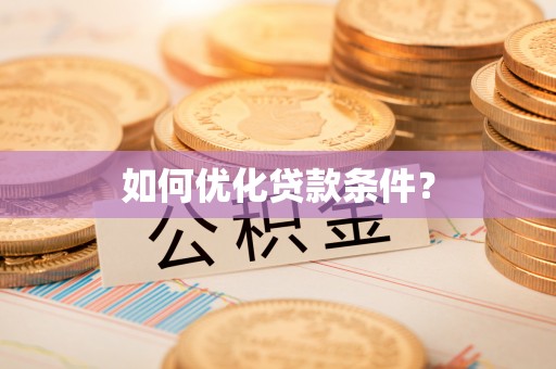 洛宁如何优化贷款条件？