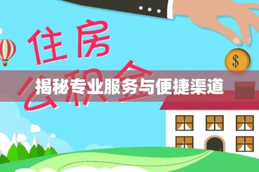 洛宁揭秘专业服务与便捷渠道