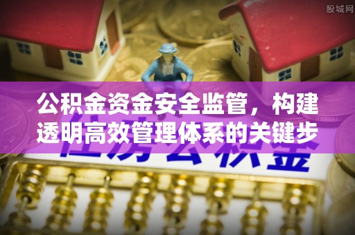 洛宁公积金资金安全监管，构建透明高效管理体系的关键步骤