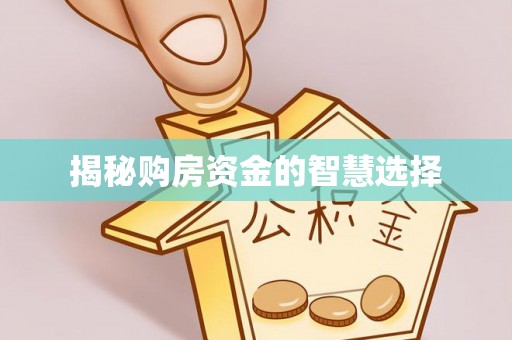 洛宁揭秘购房资金的智慧选择
