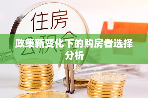 洛宁政策新变化下的购房者选择分析
