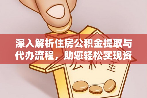 洛宁深入解析住房公积金提取与代办流程，助您轻松实现资金利用最大化