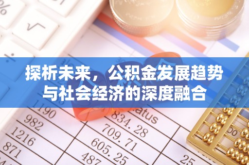 洛宁探析未来，公积金发展趋势与社会经济的深度融合