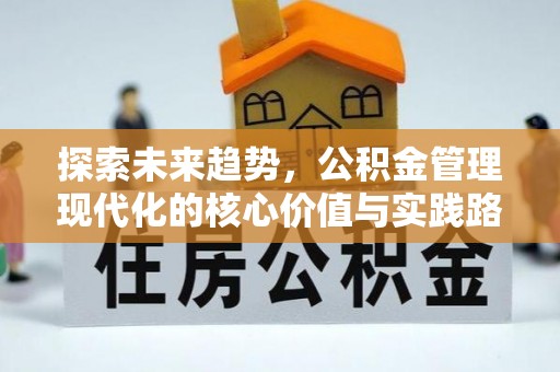 洛宁探索未来趋势，公积金管理现代化的核心价值与实践路径