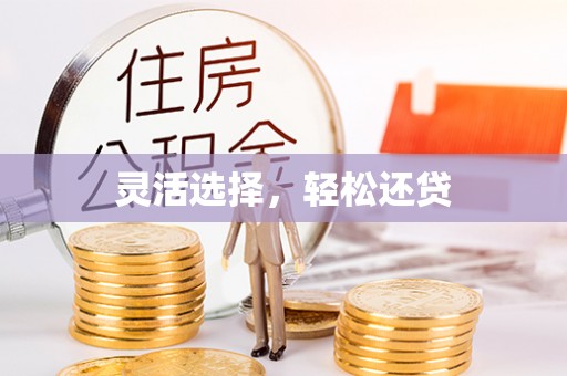 洛宁灵活选择，轻松还贷