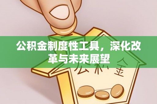 洛宁公积金制度性工具，深化改革与未来展望