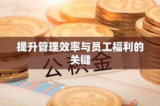 洛宁提升管理效率与员工福利的关键