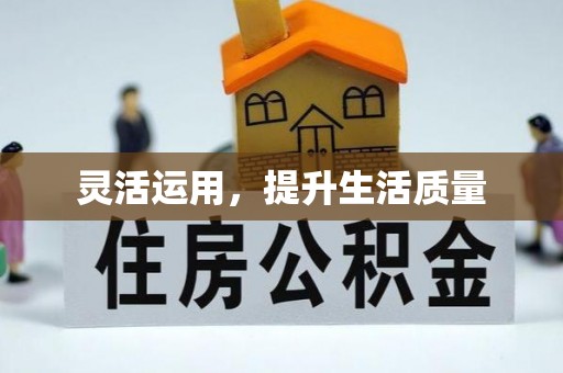 洛宁灵活运用，提升生活质量
