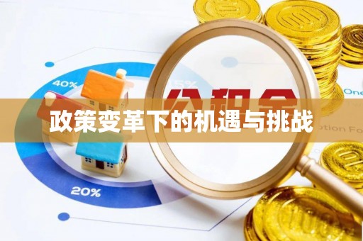 洛宁政策变革下的机遇与挑战