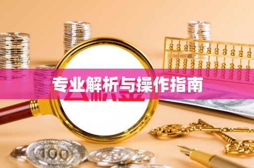 洛宁专业解析与操作指南