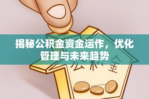洛宁揭秘公积金资金运作，优化管理与未来趋势