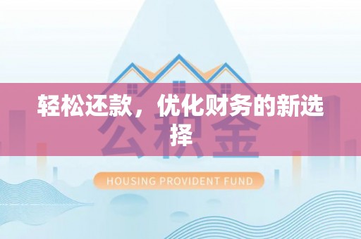 洛宁轻松还款，优化财务的新选择