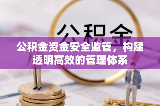 洛宁公积金资金安全监管，构建透明高效的管理体系